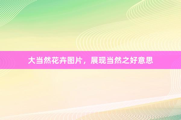 大当然花卉图片，展现当然之好意思